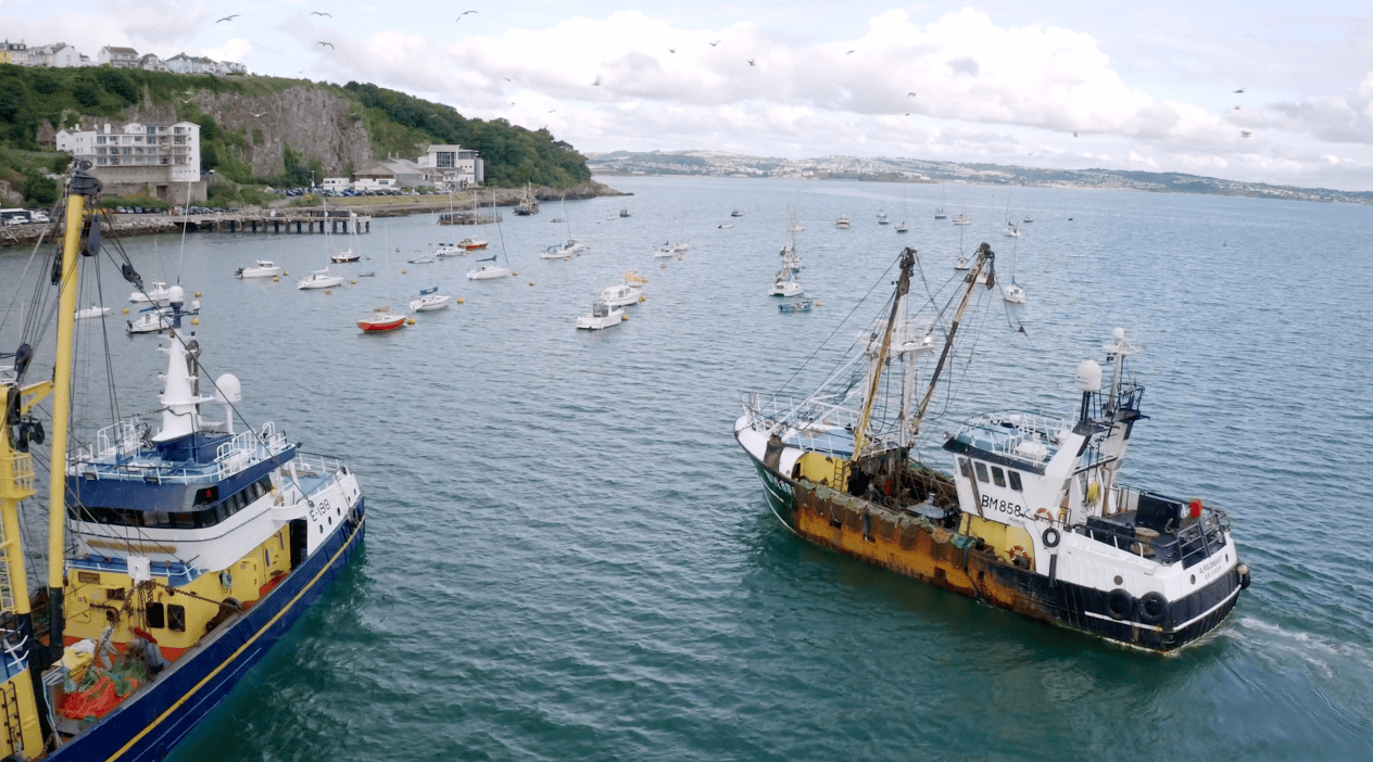 Screenshot 2026-02-02 at 14.56.24