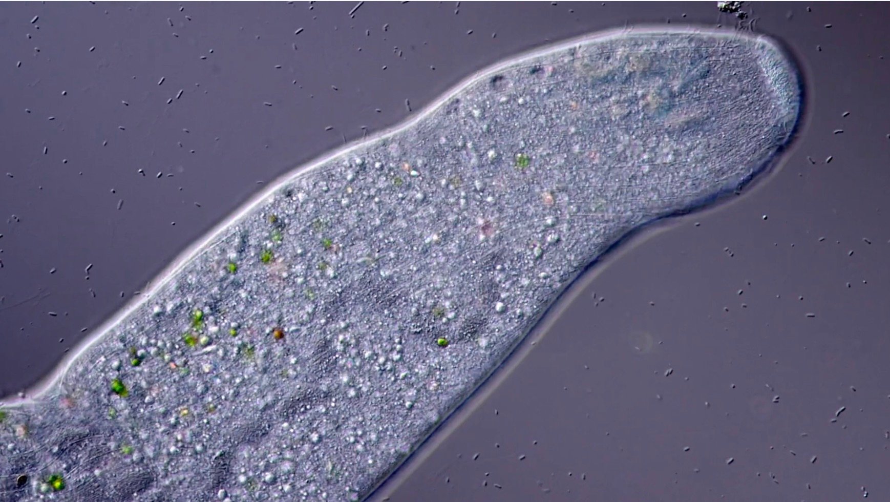 Screenshot 2026-02-04 at 14.25.22