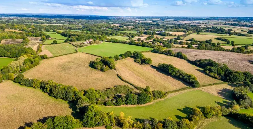 Kensham Farm wildlife habitat