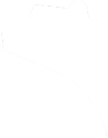 bottom-bear